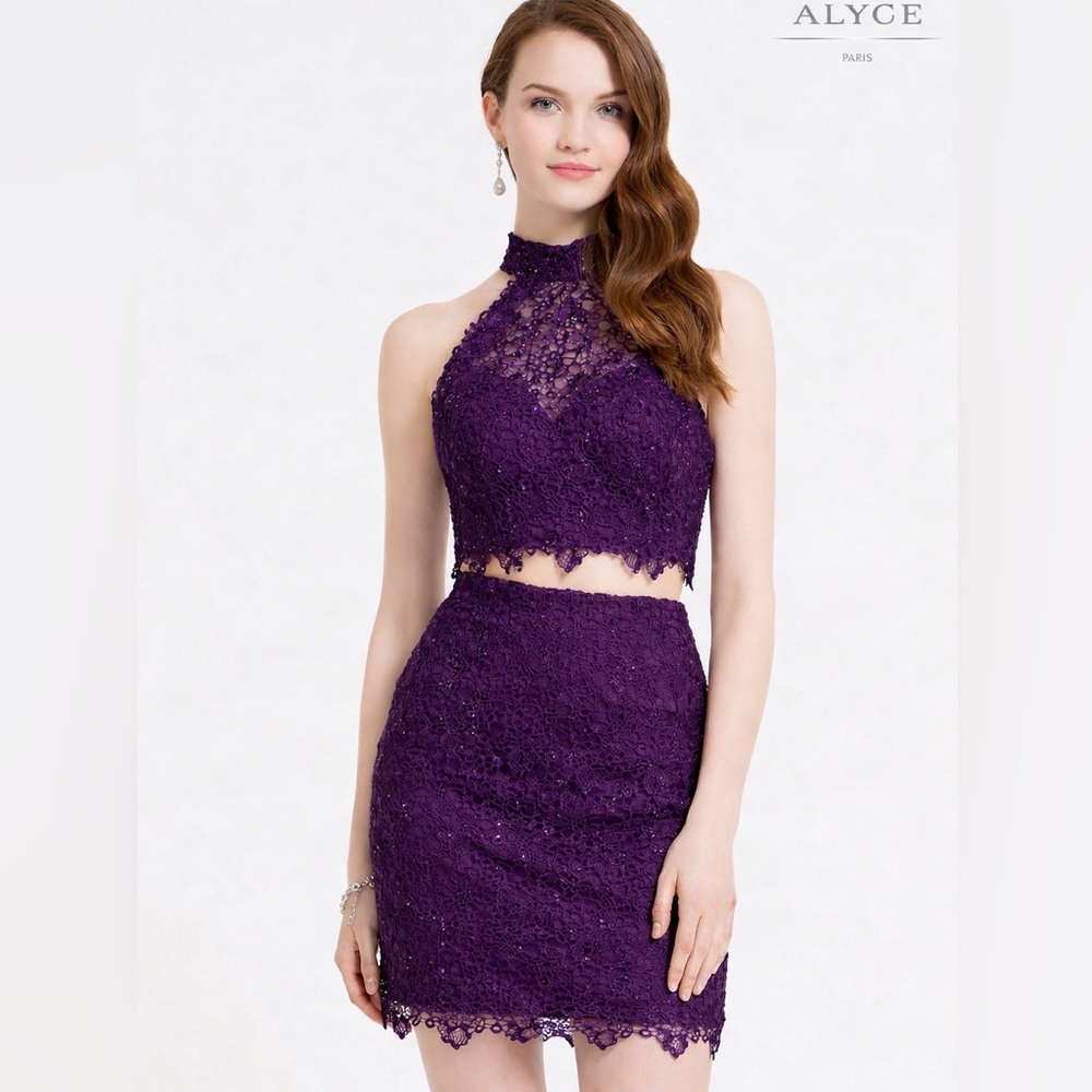 NWT Alyce Paris, sz 6, Purple Grape